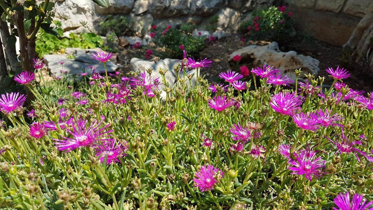 Gorana * Crikvenica